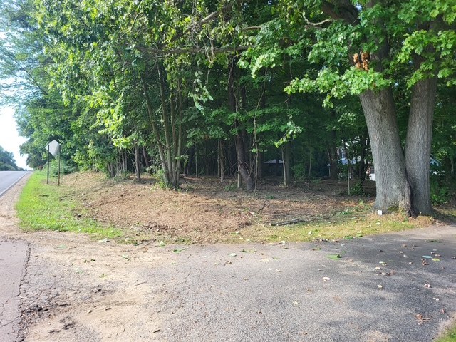 The same road edge cleared to bare ground after Green Climber brush clearing