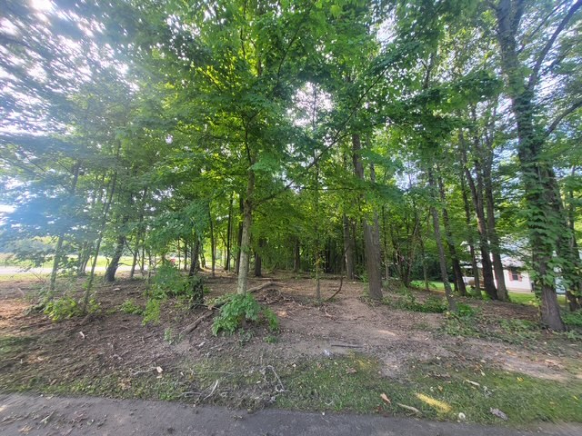 The tree line opened up and mulched to ground cover after underbrush removal