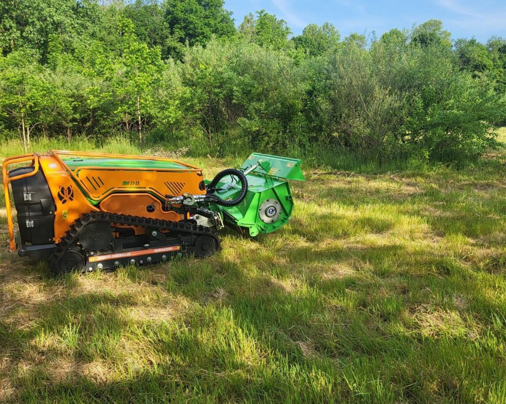 Overgrown lot cleared to ground cover by Extreme Manscaping