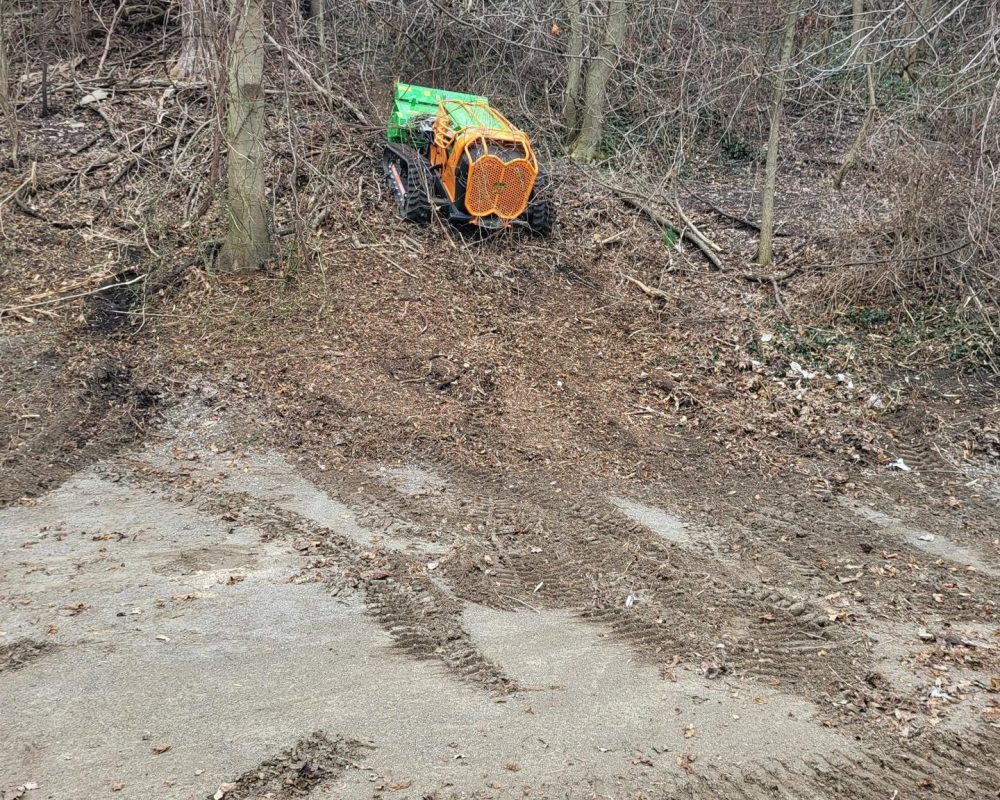 Brush clearing on a steep slope with the Green Climber